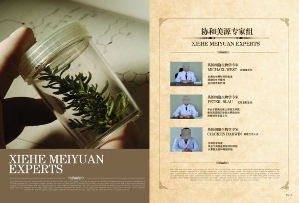 广州中医药大学专家团队赴佛冈县高岗镇开展健康宣讲和义诊活动